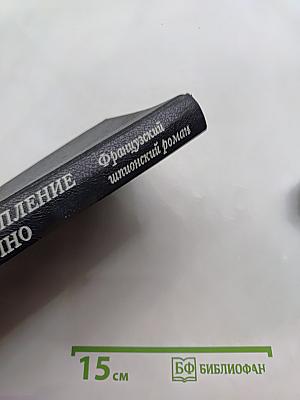 Двойное преступление на линии Мажино. Французский шпионский роман
