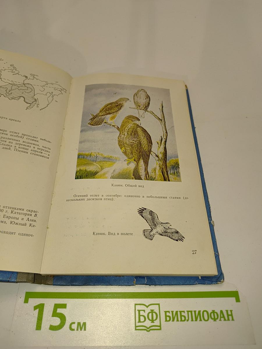 Авиационно-орнитологический атлас