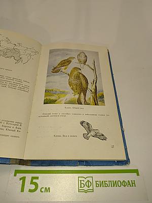 Авиационно-орнитологический атлас
