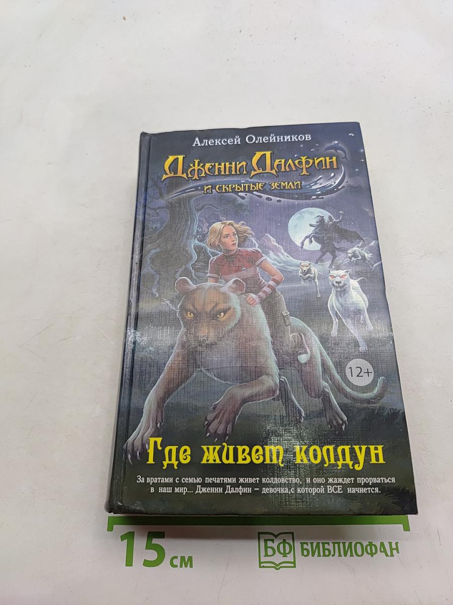 Дженни Дальфин и скрытые земли. Где живет колдун. Книга вторая
