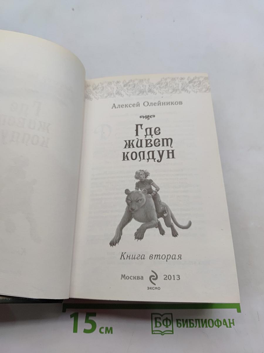 Дженни Дальфин и скрытые земли. Где живет колдун. Книга вторая