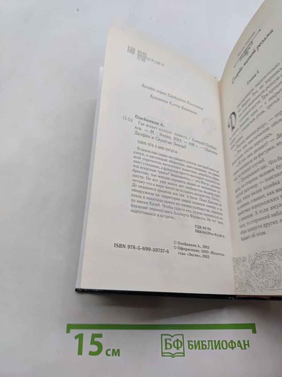 Дженни Дальфин и скрытые земли. Где живет колдун. Книга вторая