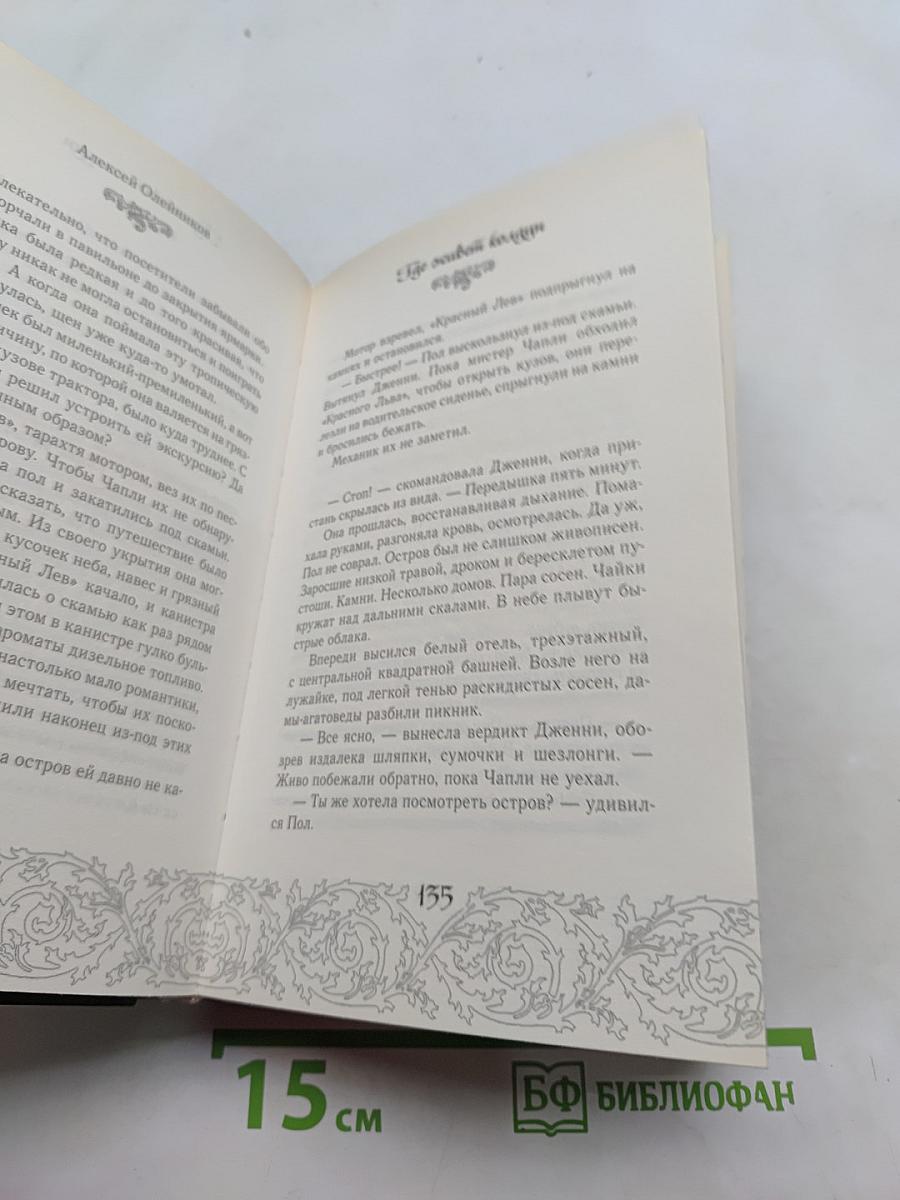 Дженни Дальфин и скрытые земли. Где живет колдун. Книга вторая