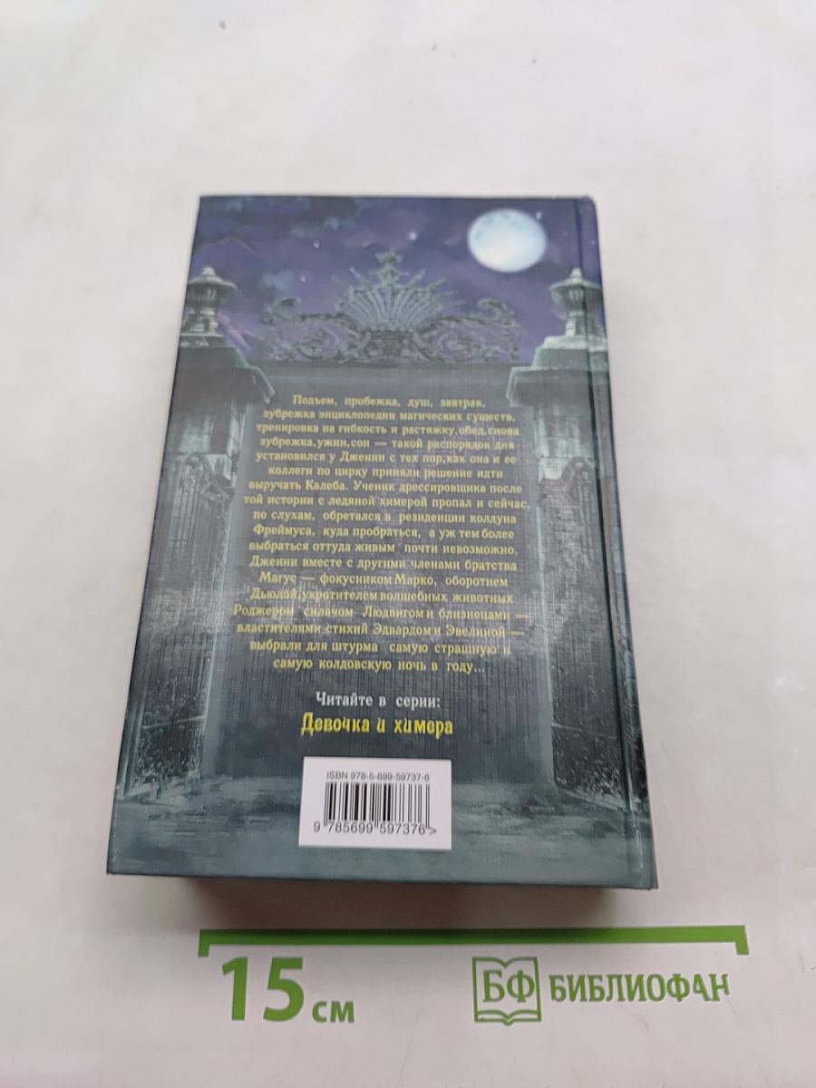 Дженни Дальфин и скрытые земли. Где живет колдун. Книга вторая