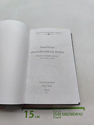 Очарованная душа. Книги 1-2