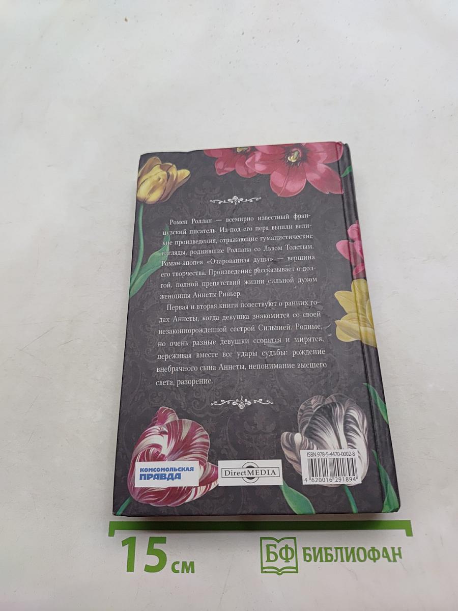Очарованная душа. Книги 1-2