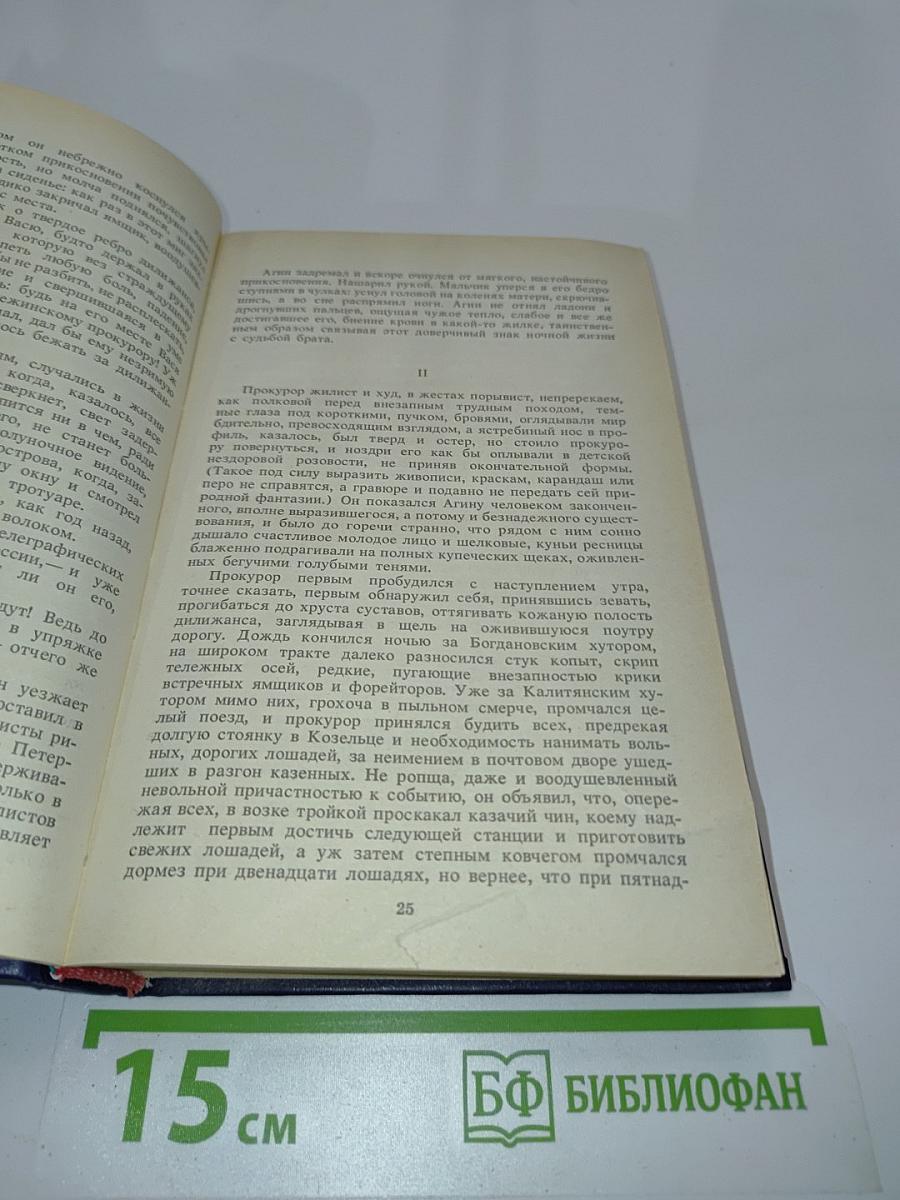 Из плена лет