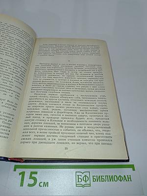 Из плена лет