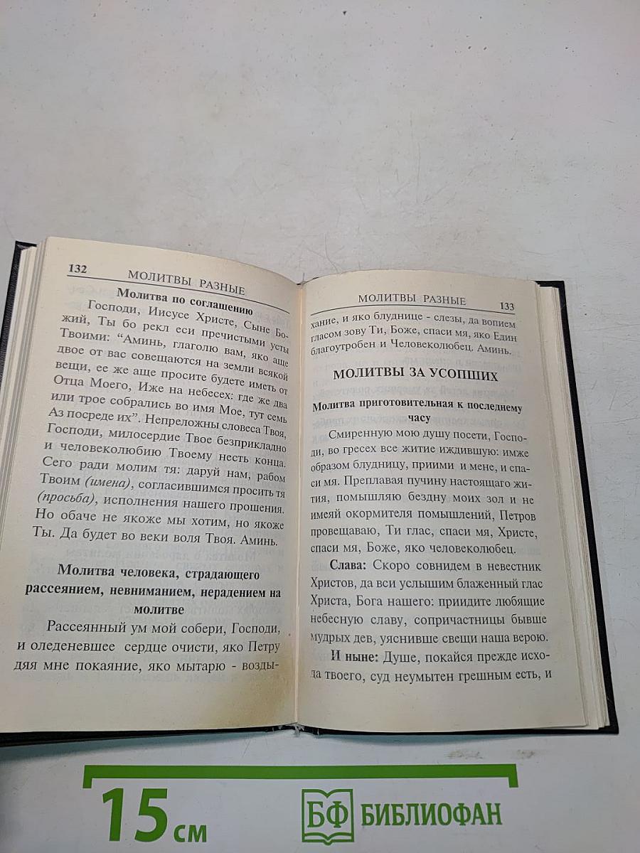 Молитвы за ближних. Молитвы на всякую потребу. Молитва задержания