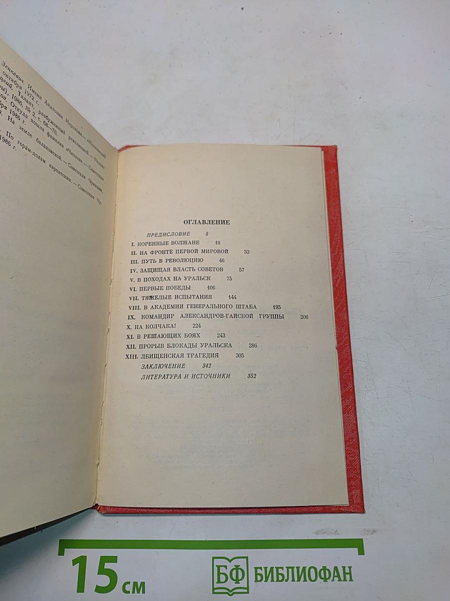 Василий Иванович Чапаев