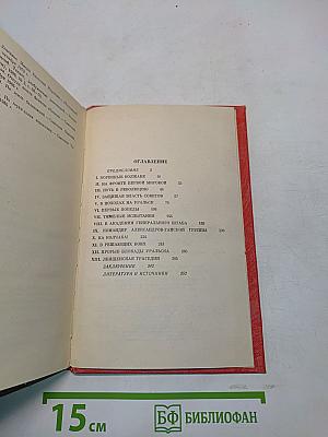 Василий Иванович Чапаев