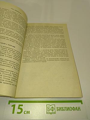 Маньчжурские правители Китая
