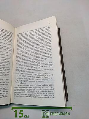 Начало года. Навстречу весне