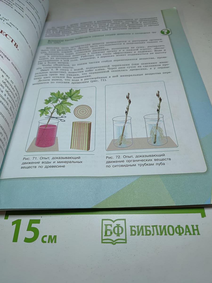 Биология 6 класс