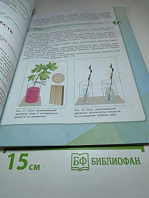 Биология 6 класс