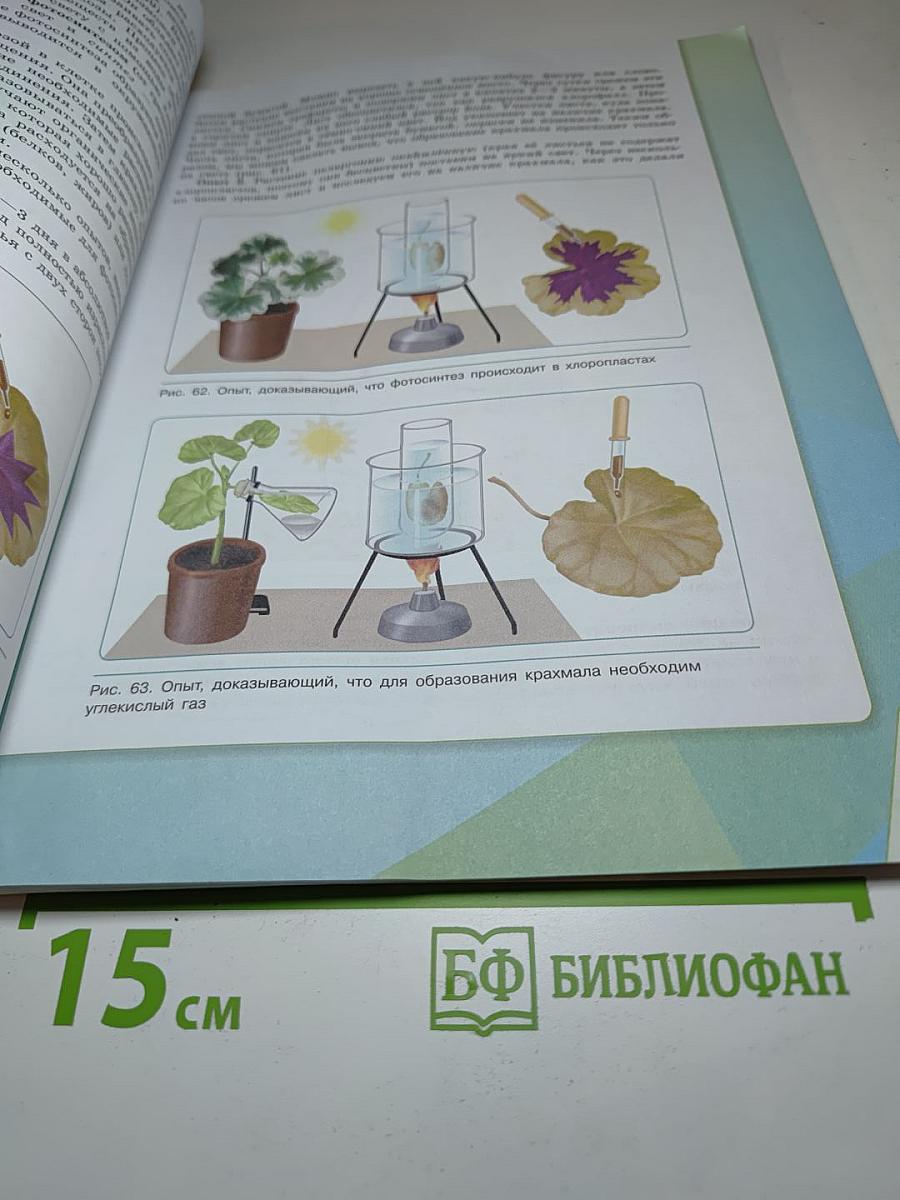 Биология 6 класс