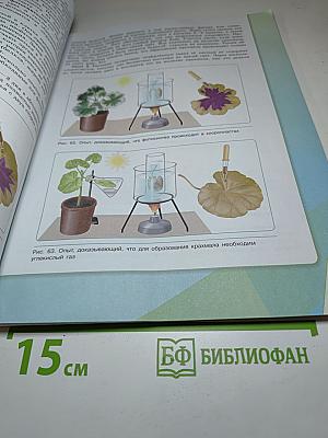 Биология 6 класс