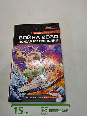 Война 2030. Пожар метрополии