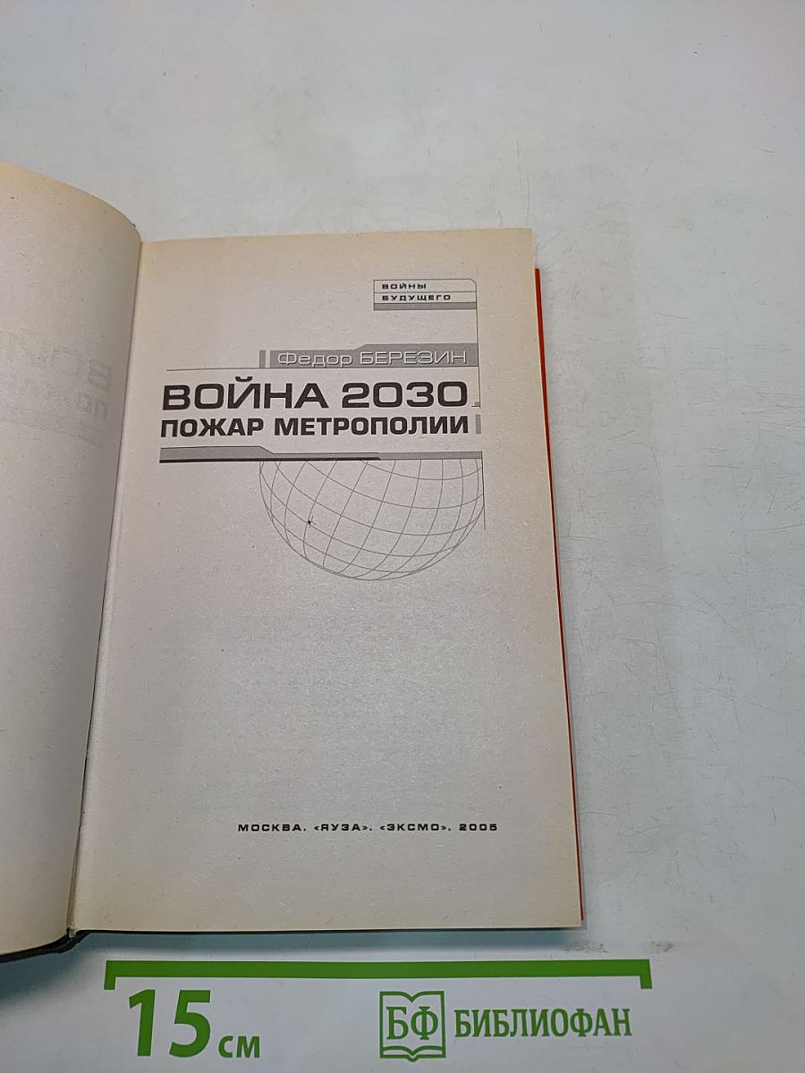 Война 2030. Пожар метрополии