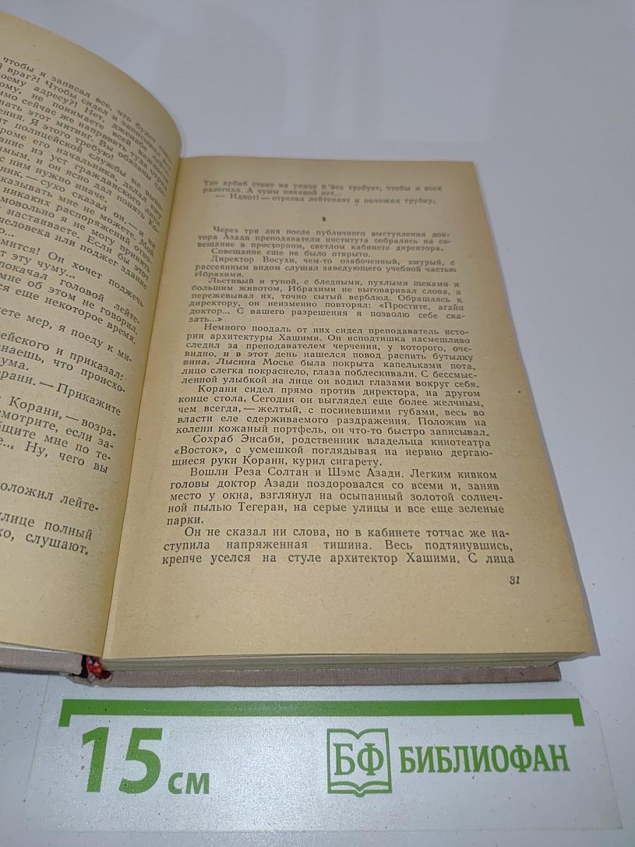 Тегеран. Роман. Книга первая. Иранская ночь