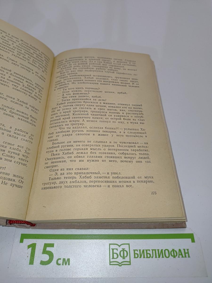 Тегеран. Роман. Книга первая. Иранская ночь