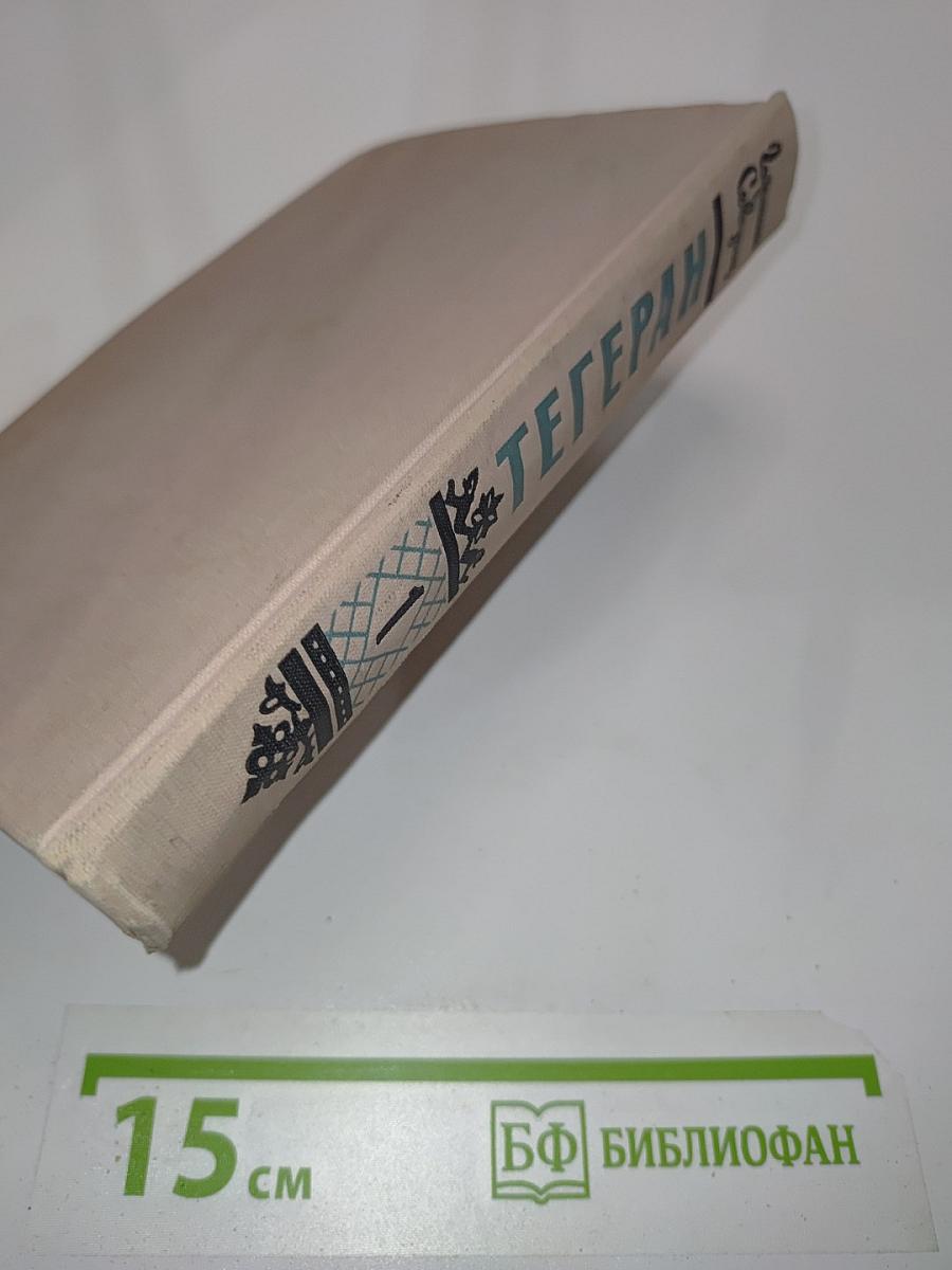 Тегеран. Роман. Книга первая. Иранская ночь