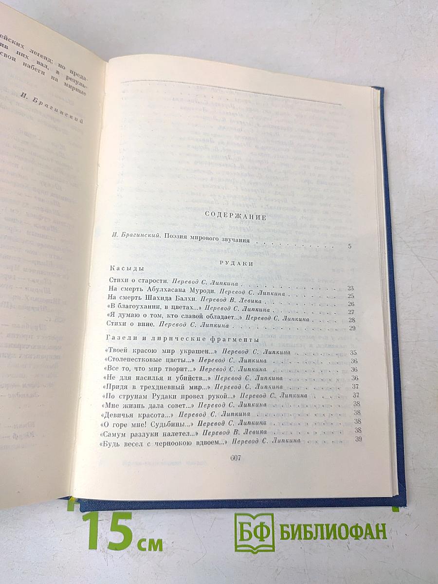 Ирано-таджикская поэзия