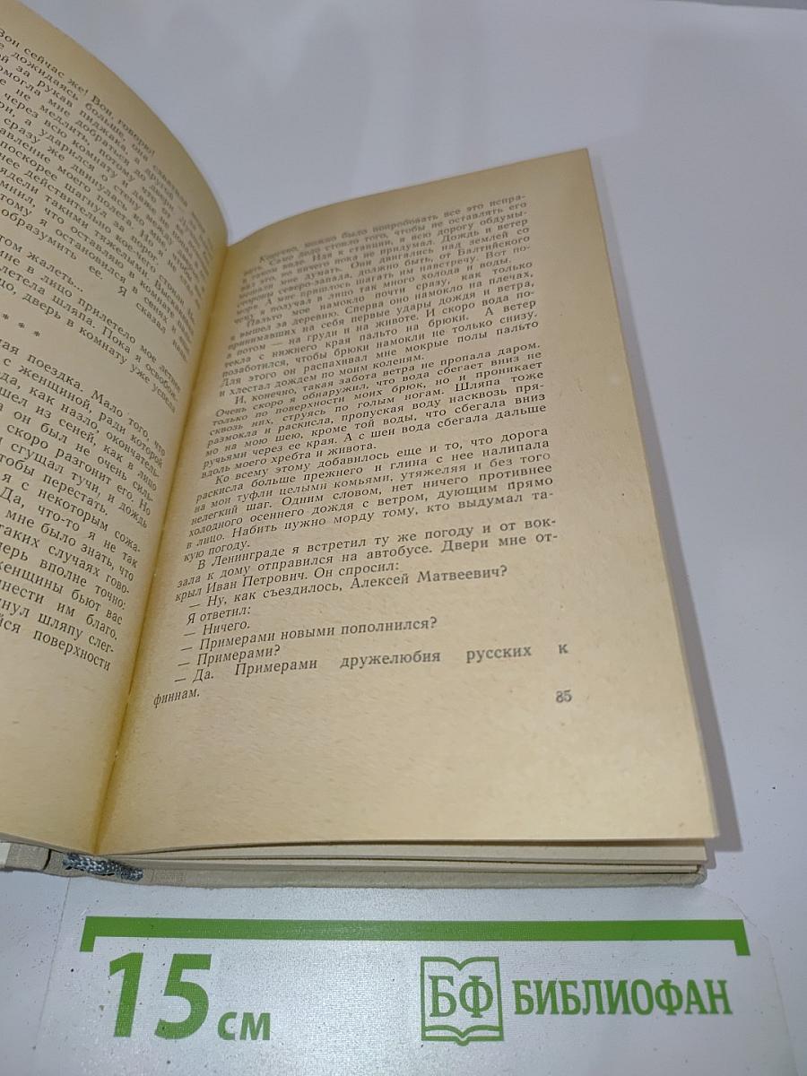 Другой путь. Книга вторая. В стране Ивана