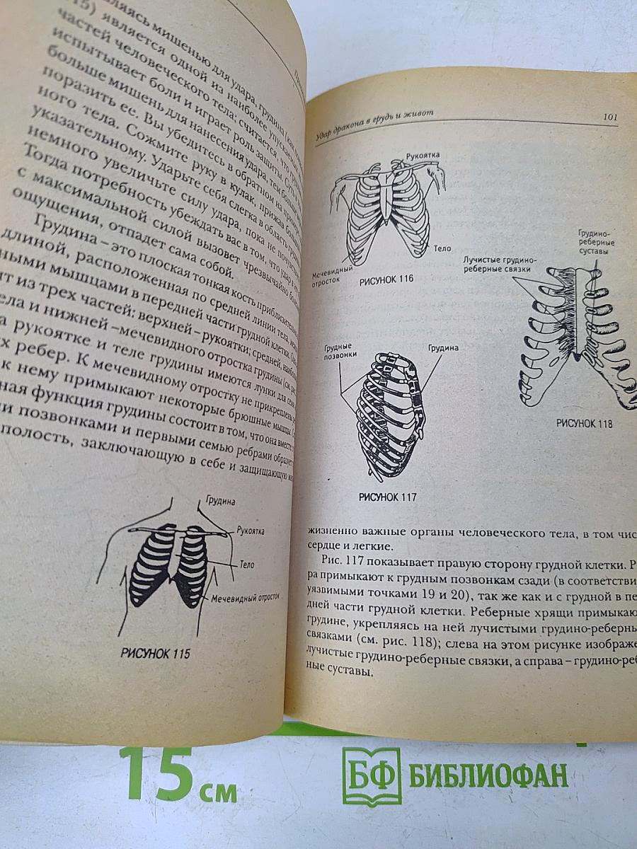 Прикосновение дракона. Уязвимые места человеческого тела