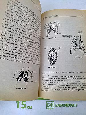 Прикосновение дракона. Уязвимые места человеческого тела