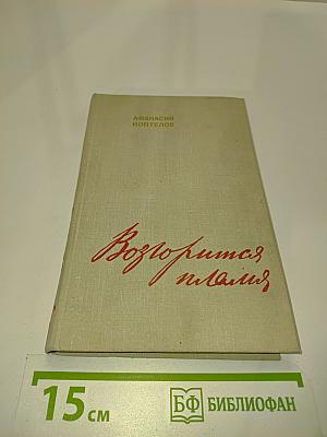 Возгорится пламя. Книга вторая