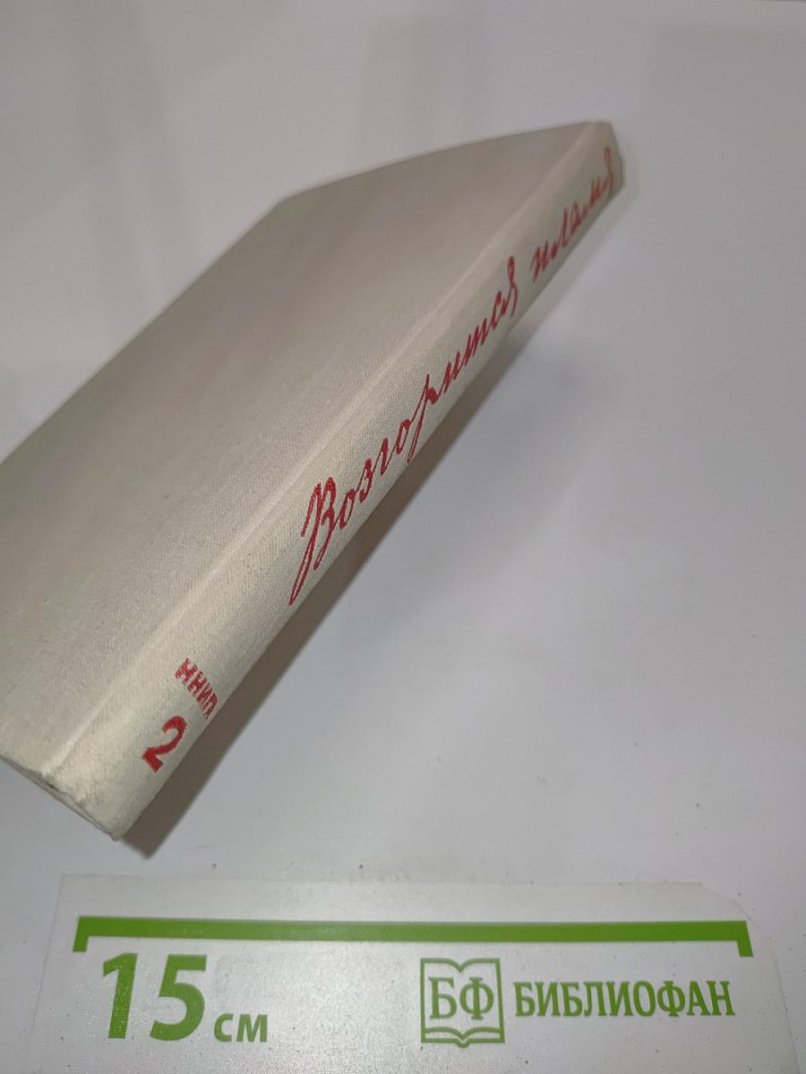 Возгорится пламя. Книга вторая