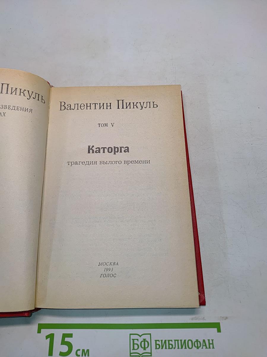 Каторга. Том V. Роман. Трагедия былого времени