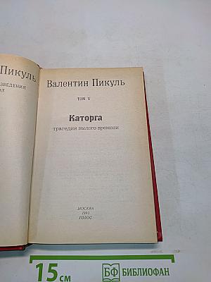 Каторга. Том V. Роман. Трагедия былого времени