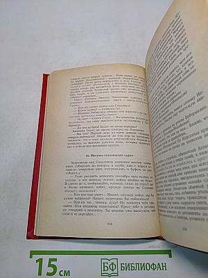 Каторга. Том V. Роман. Трагедия былого времени