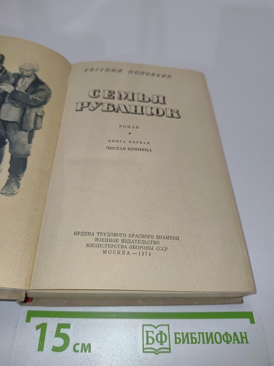 Семья Рубанюк. Книга первая. Чистая криница