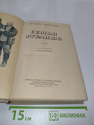 Семья Рубанюк. Книга первая. Чистая криница