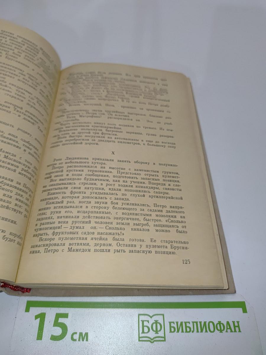 Семья Рубанюк. Книга первая. Чистая криница