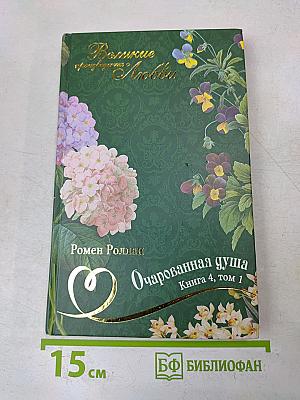 Очарованная душа. Книга 4, том 1
