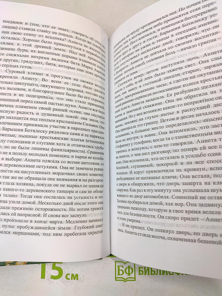 Очарованная душа. Книга 4, том 1
