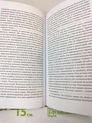 Очарованная душа. Книга 4, том 1