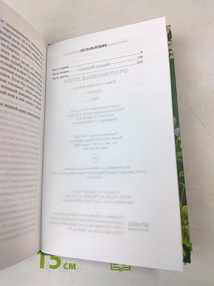 Очарованная душа. Книга 4, том 1