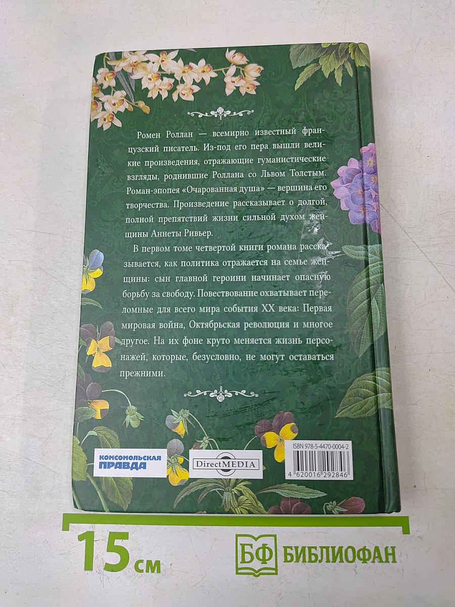 Очарованная душа. Книга 4, том 1