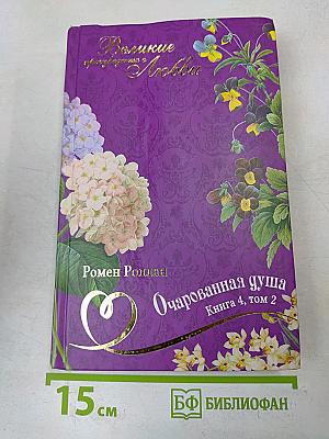 Очарованная душа. Книга 4, том 2