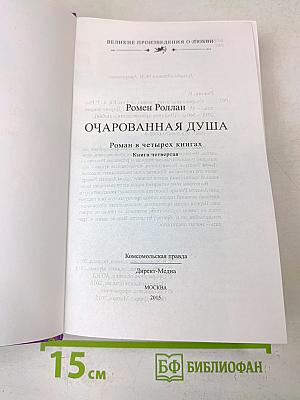 Очарованная душа. Книга 4, том 2