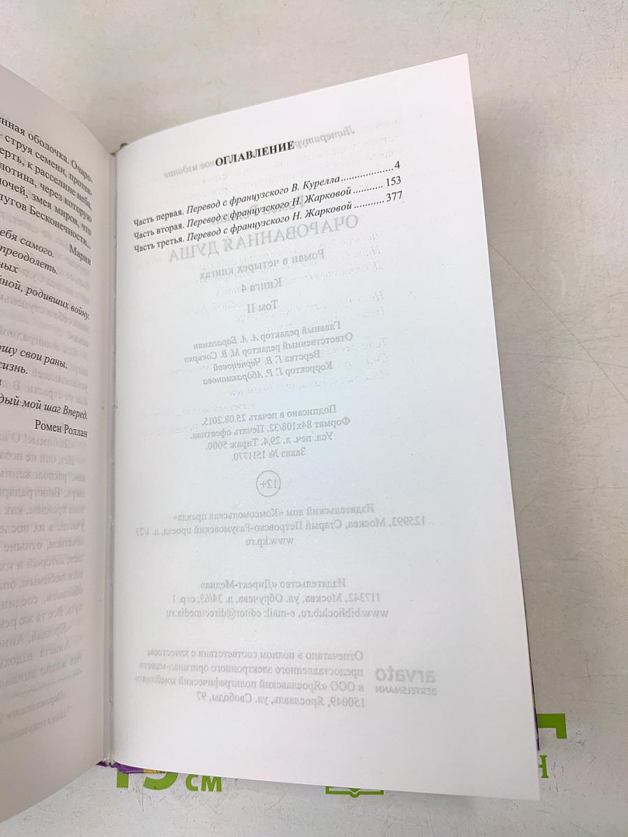 Очарованная душа. Книга 4, том 2