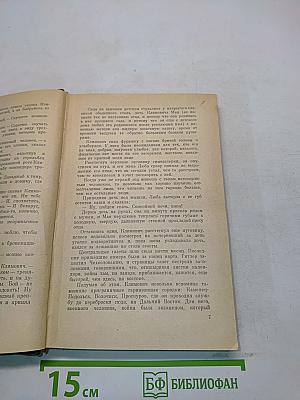 Товарищи по оружию