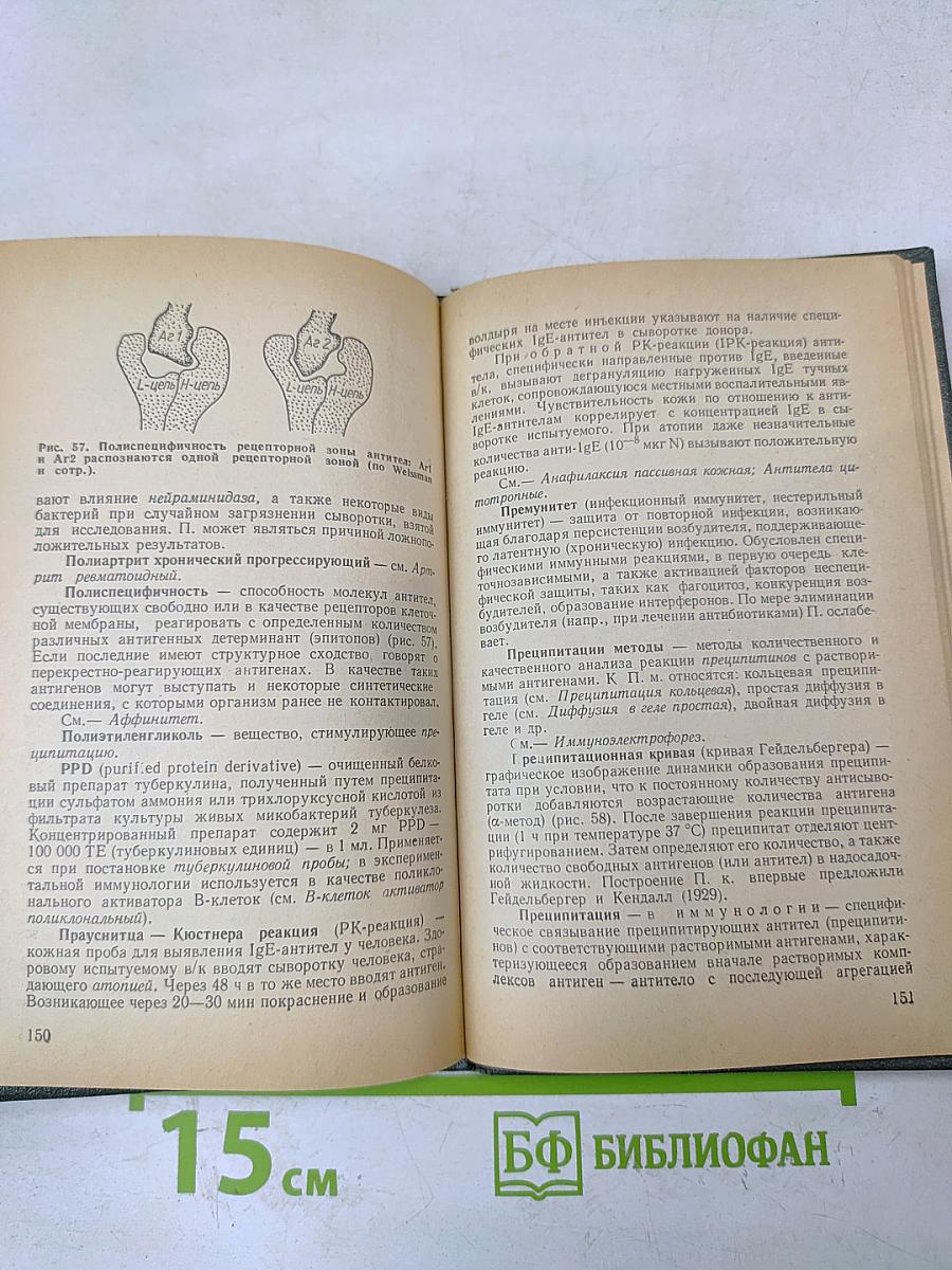 Иммунология. Словарь