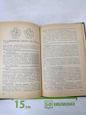 Иммунология. Словарь