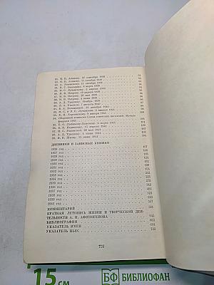 Письма, дневники. Том 2